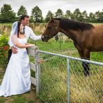 Bride and groom take a break from their wedding to get a photo with horses in a paddock