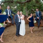 Hagley Park photo of the bridal party sitting and standing in front of a large pine tree branch