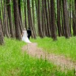 Hammer forest photo of the bride and groom walking through beautiful bare trunk trees