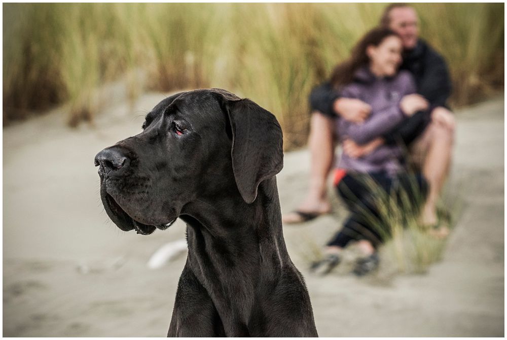 Wedding photography with couple including family pet dog in engagement shoot