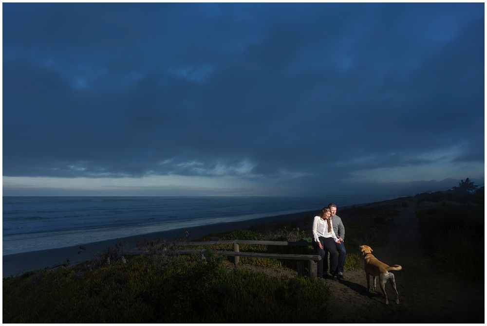 Landscape of couple and dog at beach