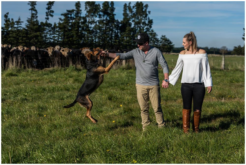 engaged couple playing with their pet farm dog